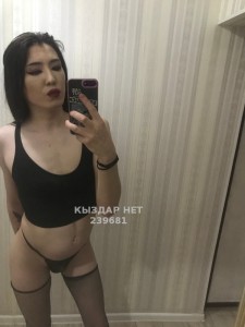 Транс Тараза Анкета №239681 Фотография №2673073