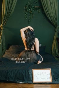 Проститутка Караганды Анкета №414587 Фотография №3885213